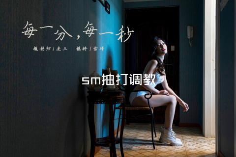 sm抽打调教